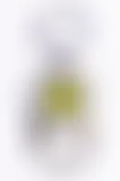 CustomCanvasNow.Com
