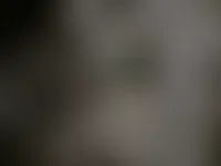 CustomCanvasNow.Com