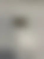 CustomCanvasNow.Com