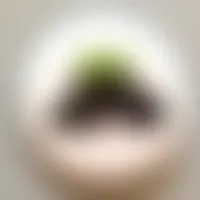 CustomCanvasNow.Com