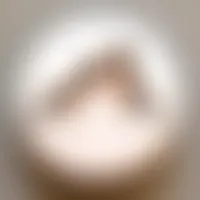 CustomCanvasNow.Com