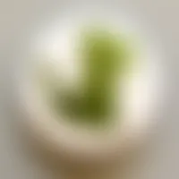CustomCanvasNow.Com