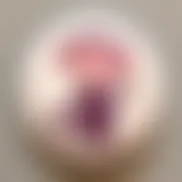 CustomCanvasNow.Com
