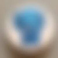 CustomCanvasNow.Com