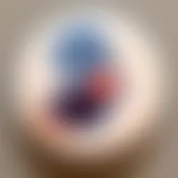 CustomCanvasNow.Com