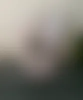CustomCanvasNow.Com