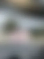 CustomCanvasNow.Com