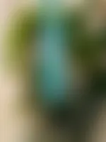 CustomCanvasNow.Com