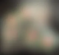 CustomCanvasNow.Com