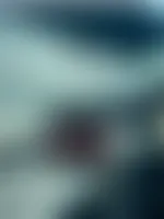 CustomCanvasNow.Com