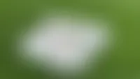 CustomCanvasNow.Com
