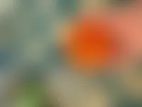 CustomCanvasNow.Com