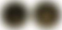 CustomCanvasNow.Com