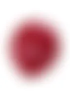CustomCanvasNow.Com