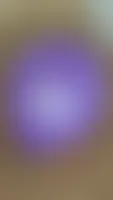 CustomCanvasNow.Com