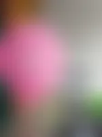CustomCanvasNow.Com