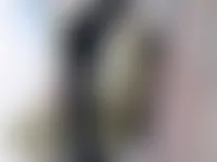 CustomCanvasNow.Com