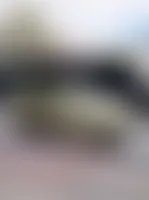 CustomCanvasNow.Com