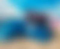 CustomCanvasNow.Com - Rectangle Flag