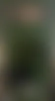 CustomCanvasNow.Com