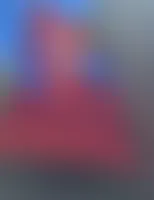 CustomCanvasNow.Com - Rectangle Flag