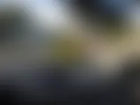 CustomCanvasNow.Com