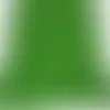 Green - Custom Canvas Now