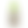 Lime Green - Custom Canvas Now