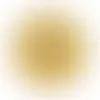 Gold - Custom Canvas Now