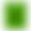Lime Green - Custom Canvas Now