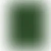 Green - Custom Canvas Now