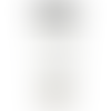 White (WH)
