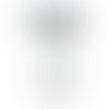 White (WH)