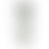 White (WH)