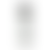 White (WH)