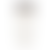 White (WH)