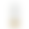 White (WH)