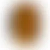 Tiger Eye - Custom Canvas Now
