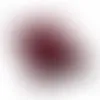 Burgundy - Custom Canvas Now