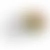 Small Top View Tin-Jelly Belly® - Custom Canvas Now