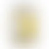Large Plastic Jar - Butter Popcorn - Custom Canvas Now