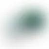 Large Top View Tin-Jelly Belly® - Custom Canvas Now