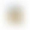 Large Header Bags - Jumbo Pistachios - Custom Canvas Now