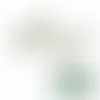 Peppermint Soft Pastel Mints - Custom Canvas Now