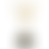 Aurora Trophy