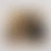 Lenticular Photo Frames