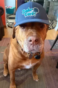 CustomCanvasNow.Com - Full Color TPU