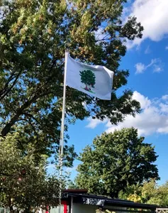 CustomCanvasNow.Com - Rectangle Flag