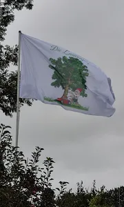 CustomCanvasNow.Com - Rectangle Flag