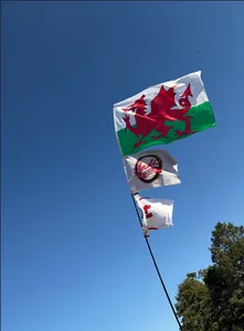CustomCanvasNow.Com - Rectangle Flag